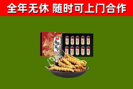 苗栗县回收冬虫夏草价格