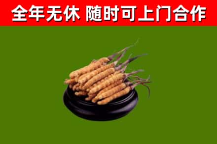 苗栗县烟酒回收冬虫夏草.jpg